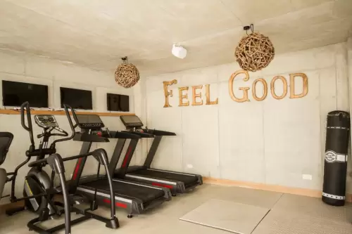 Aelia Wellness Retreat