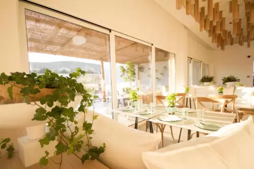 Aelia Wellness Retreat