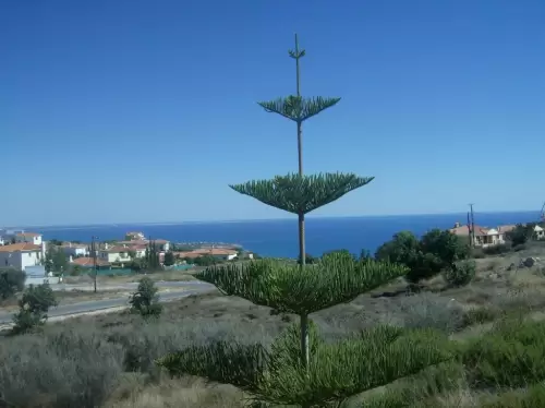 Kapsalia Holiday Villas
