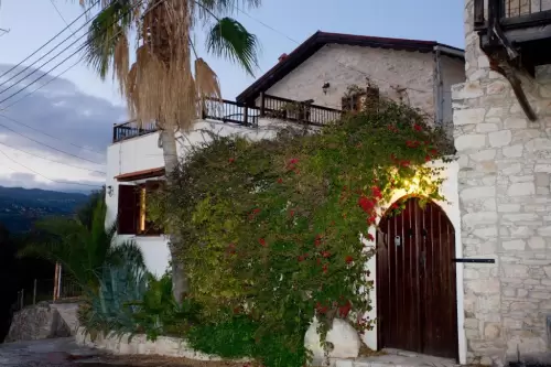 The Old Olive Mill