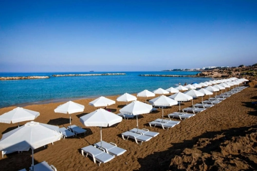 Venus Beach