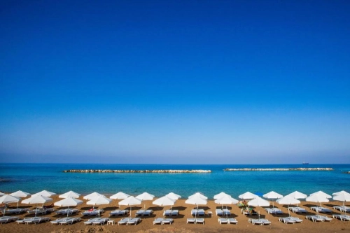 Venus Beach